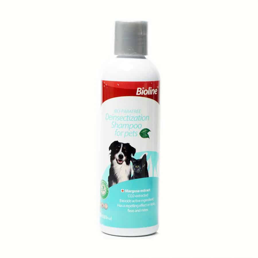 cat dog shampoo