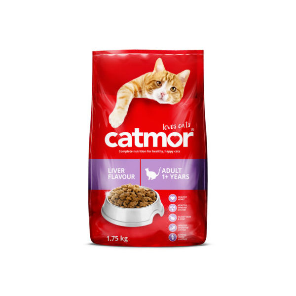 dry cat food easy to chew