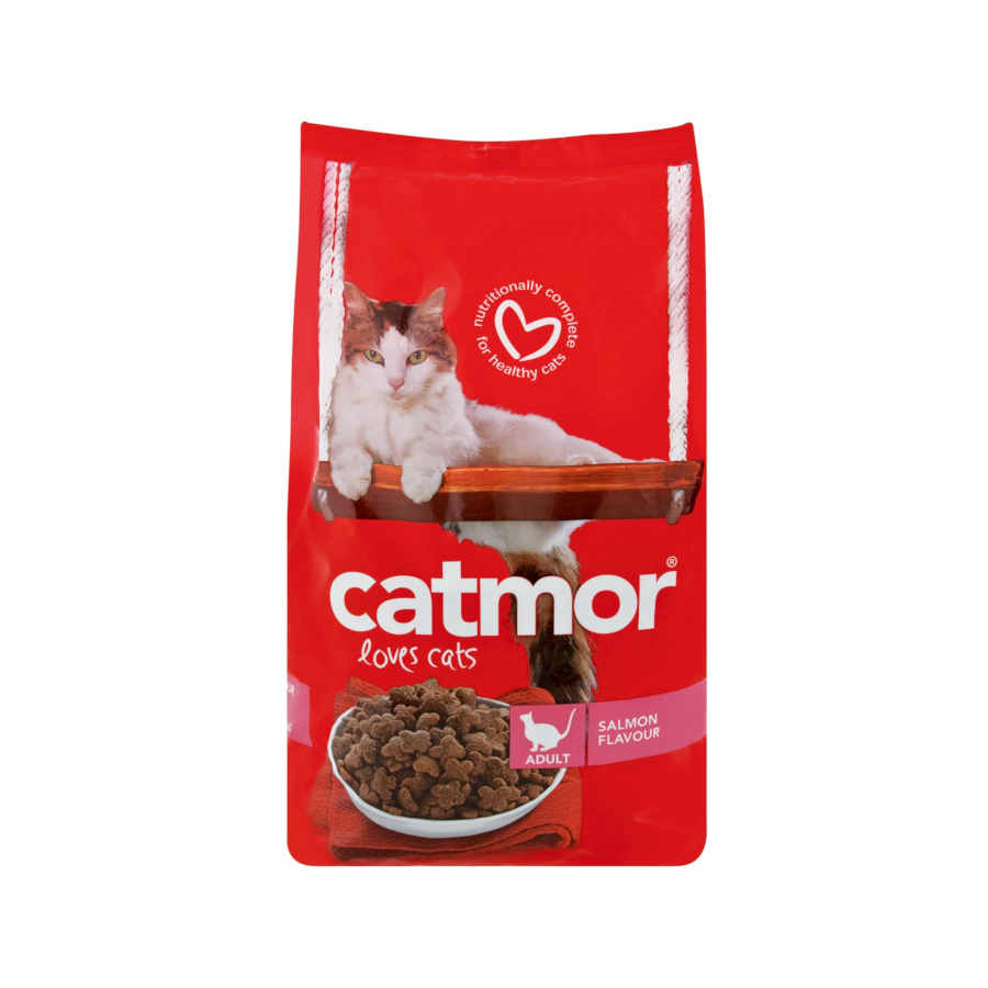 dry cat food easy to chew
