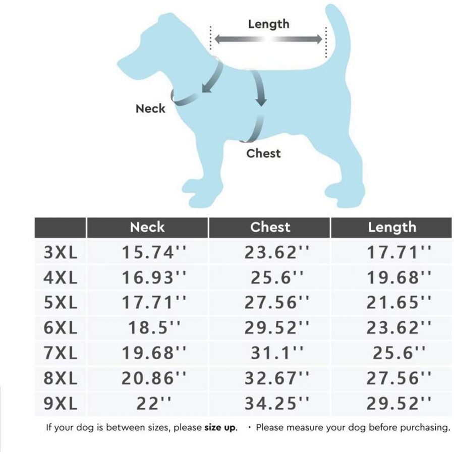 adidog size chart