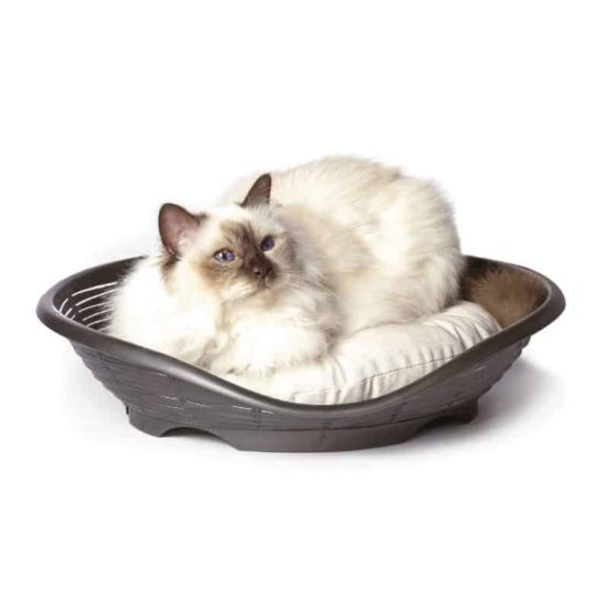 Bama Pet Pasha Bed with Cushion - cats