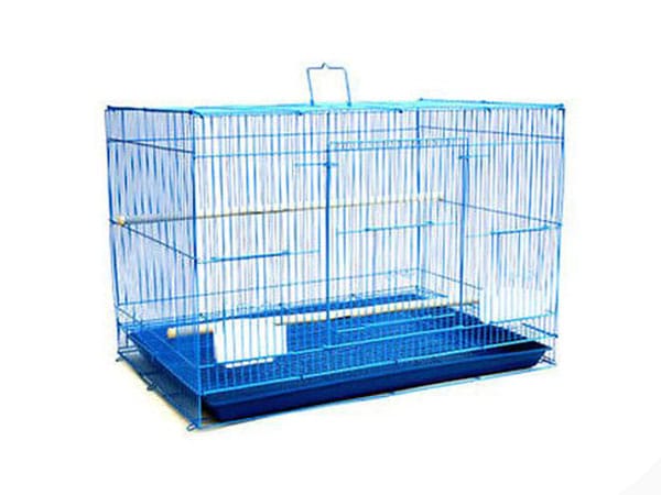pet cages for sale near me