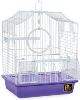 royal pet bird cage