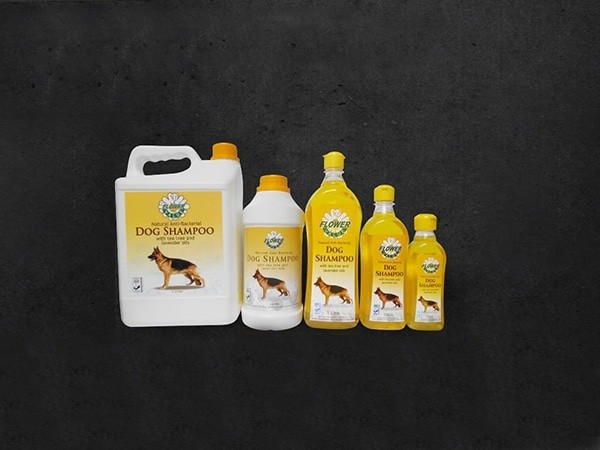 bayer dog shampoo