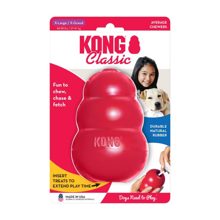 kong dog chew toy