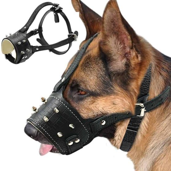 Padded Spiked Leather Dog Traning Muzzle for Large Dogs