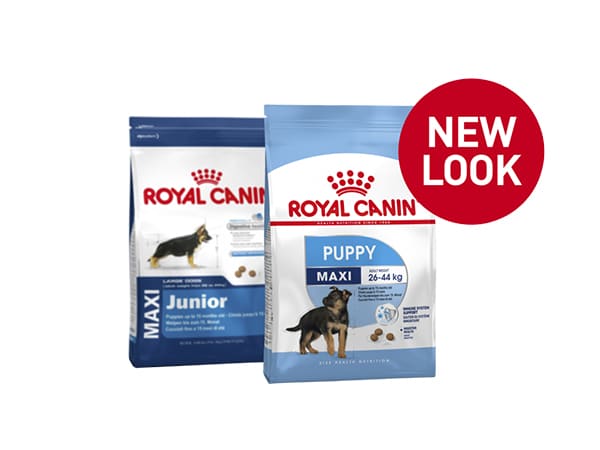 royal canin maxi