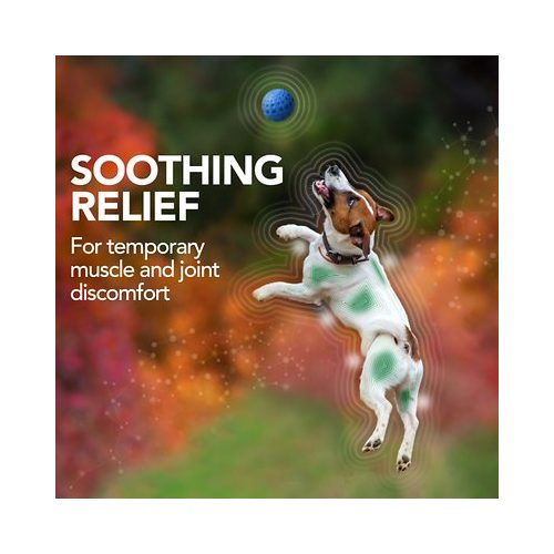 Vet's Best Aches + Pains Dog Supplement soothing releif